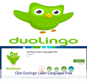 download duolingo for laptop